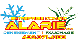 logo entreprise dominic alarie
